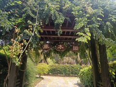 -中国科学院西双版纳热带植物园