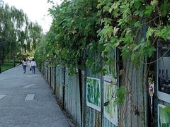 -五道口(地铁站)