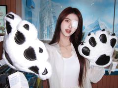 -海合安成都极地海洋公园