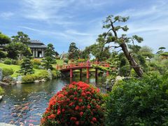 -芽庄珍珠岛游乐园
