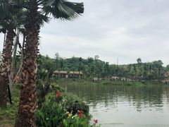 -枫香湖儿童公园