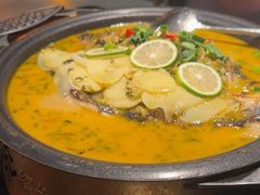 -探鱼·鲜青椒爽麻烤鱼(广州花都来又来店)