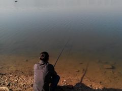 android_upload_pic-丁香湖公园