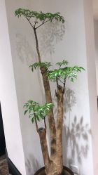 -印·Style造型创始店