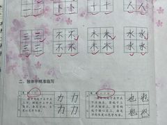 -赵汝飞练字硬笔书法(大钟寺校区)