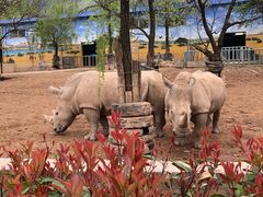 -西安秦岭野生动物园