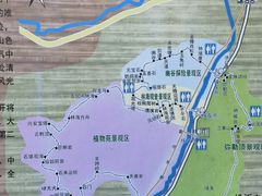 -汤旺河林海奇石景区