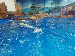 -华夏文旅西安度假区