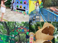 -广州长隆飞鸟乐园