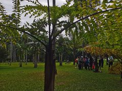 -中国科学院西双版纳热带植物园