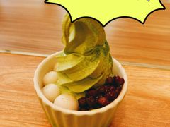 -王守财小山園