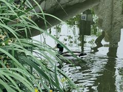 -春风习习