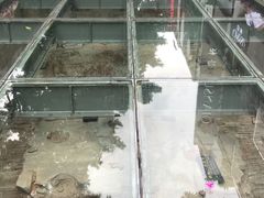 -北京路步行街-千年古道遗址