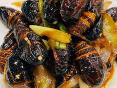 -渔娘渔家丹东海鲜(东直门店)