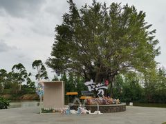 -江门古劳水乡旅游区