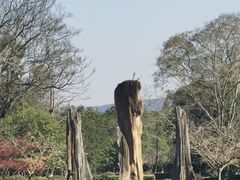 -金钉子远古世界景区