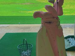 -金鸡湖高尔夫会员专属俱乐部