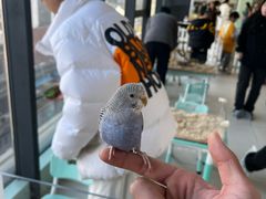 -怪兽屋·羊驼·猫咖·狗咖(俊华广场店)