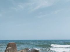 -渡海小渔村.老辈日照菜