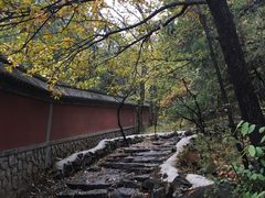 -阳台山自然风景区