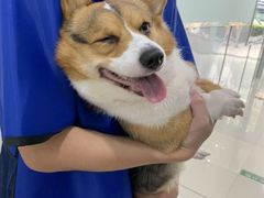 -佳雯宠物医院(金华南路分院)