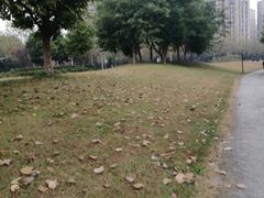 -两河城市森林公园
