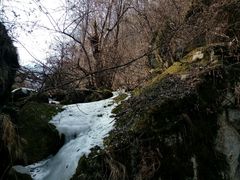 -陕西省红河谷森林公园