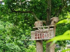 -成都保利公园皇冠假日酒店(熊猫基地店)