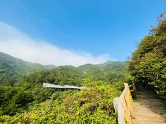 -木兰云雾山