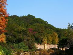 -云溪植物园