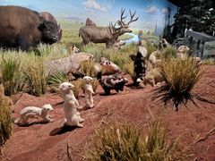 -陕西自然博物馆