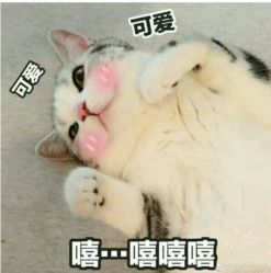 -蕾特恩专业祛痘国际连锁
