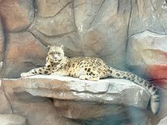-青藏高原野生动物园