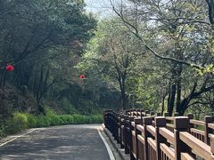 -游子山休闲旅游区