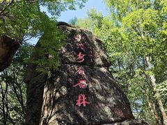 -汤旺河林海奇石景区