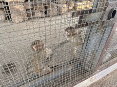 -河北村民俗体验园