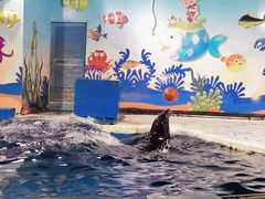 -太平洋海底世界