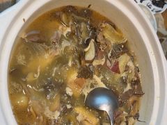 -滇铺子·云南特色菜·第九届野生菌美食节(东风东路c86店)