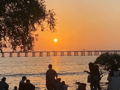 -宝安西湾红树林湿地公园