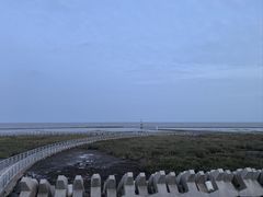 -南汇嘴观海公园