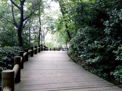 -天目湖山水园
