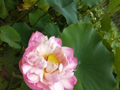 -南戴河国际娱乐中心