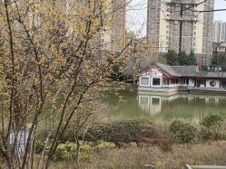 -馨果汇月子产康中心(南湖公园店)