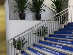 -美可普口腔医院(东街分店)