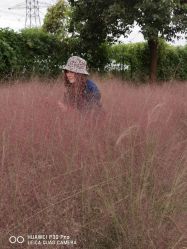 -CICI纤美·科技减肥美容