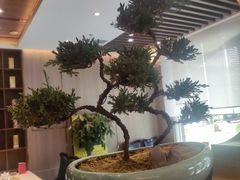 -老广州打边炉(宏润·翠湖天地璞园店)