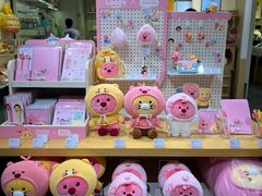 -KAKAO FRIENDS(弘大店)