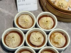 -莱莱小笼·乔艾
