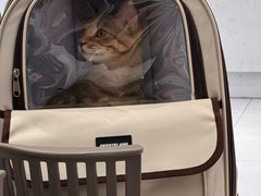 -关爱宠物医院·猫科中心·消化科(滨湖万达分院)