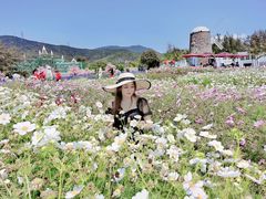 -玫瑰海岸文化旅游度假区